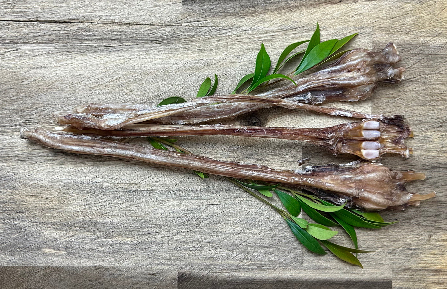 New Natural Treat Product - Deer Tendons