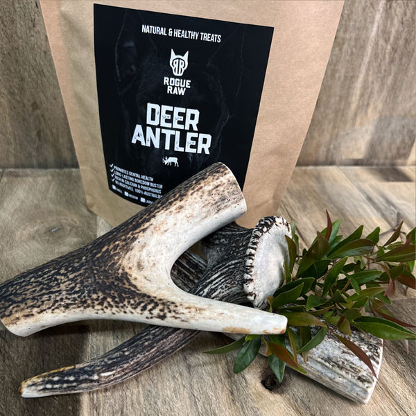 Deer antler clearance bones for dogs