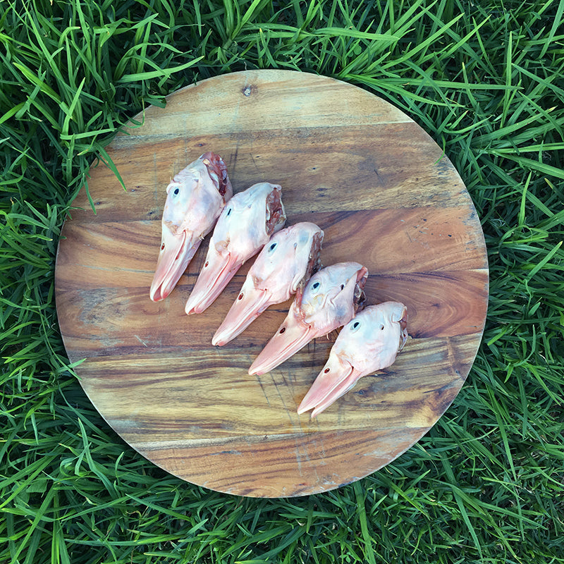 Duck Heads (5 pieces per pack)