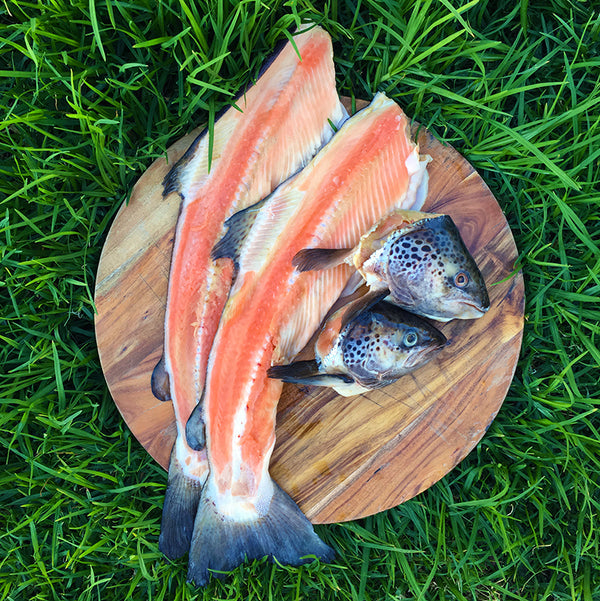 Salmon heads for store dogs