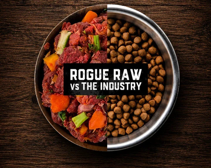 Best Fresh Dog Food Australia: What It Means and Why Raw Is the Freshest Option