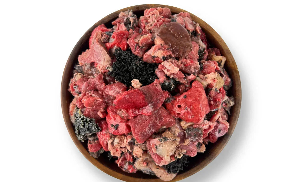 Raw Dog Food Delivery and Subscription in Australia: What to Look For and How to Get Started