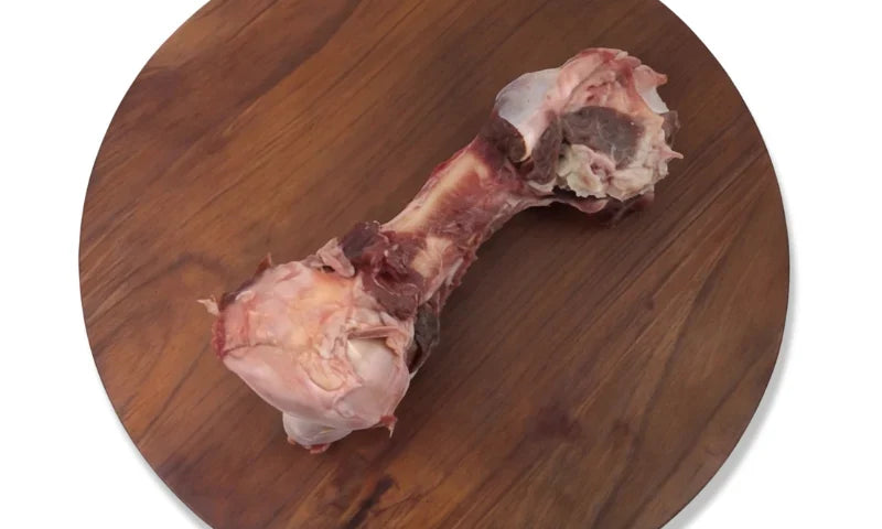 Raw Emu Necks for Dogs: Benefits, Safety and Feeding Guide