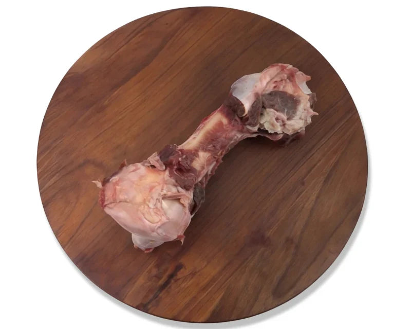 Raw Emu Necks for Dogs: Benefits, Safety and Feeding Guide