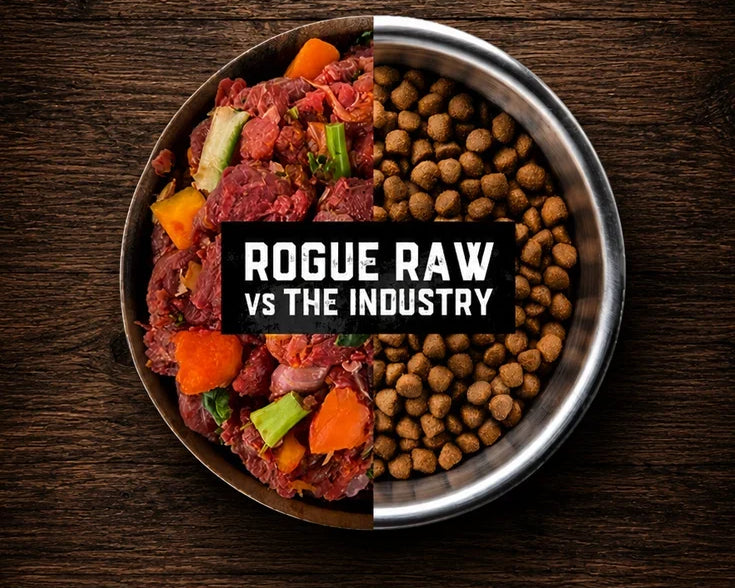 Raw and Fresh Pet Food: Why It Outperforms Processed Kibble for Australian Dogs