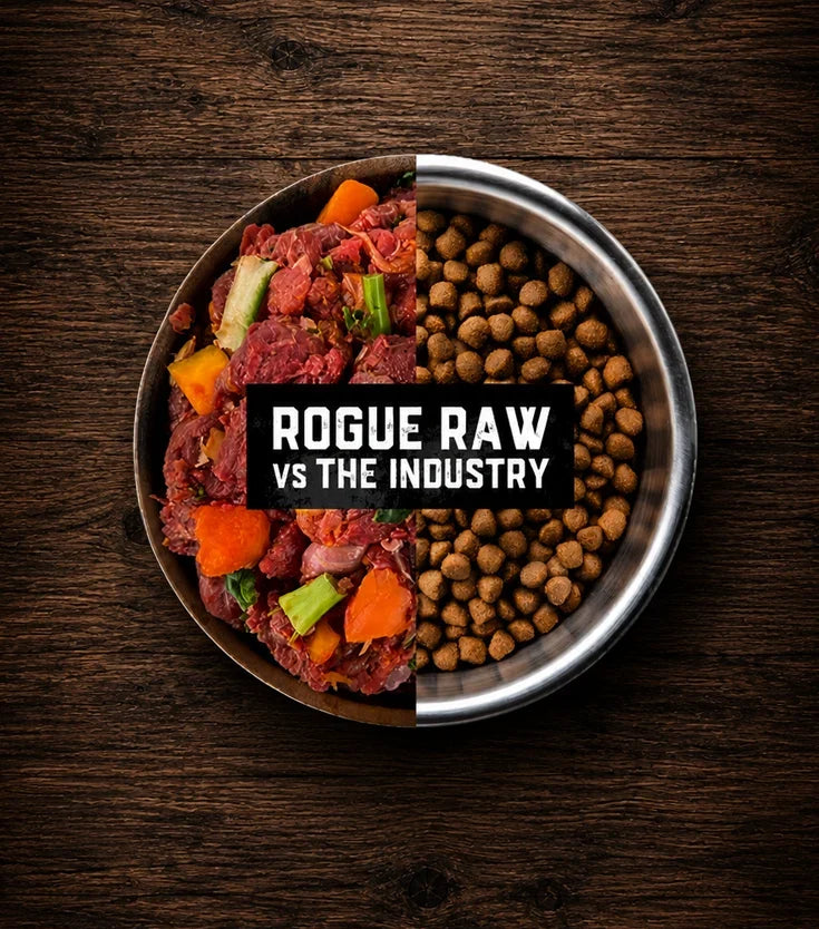 Raw and Fresh Pet Food: Why It Outperforms Processed Kibble for Australian Dogs