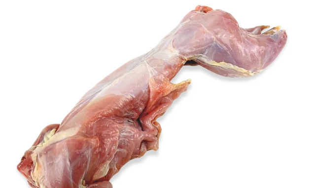 Whole Rabbit for Dogs: Benefits, Nutrition, and How to Feed It