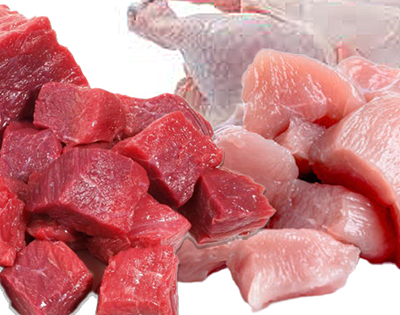 Why is my dog allergic to beef & chicken?