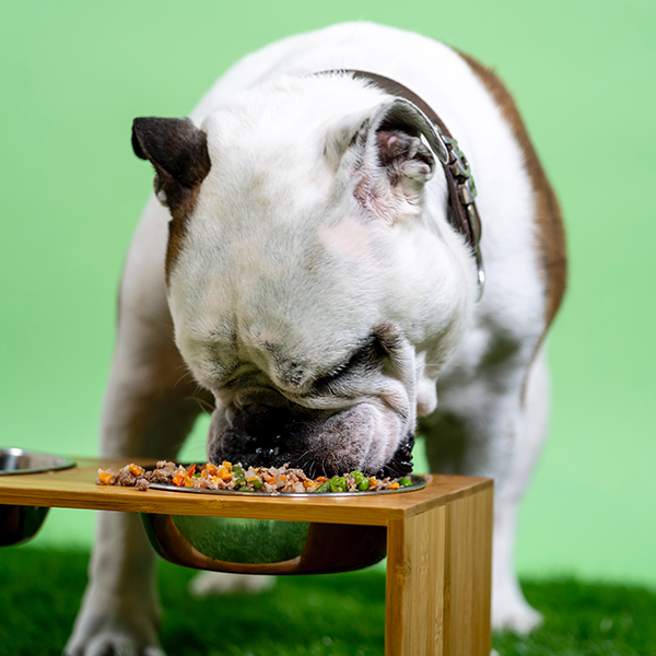 Bulldog Raw Food