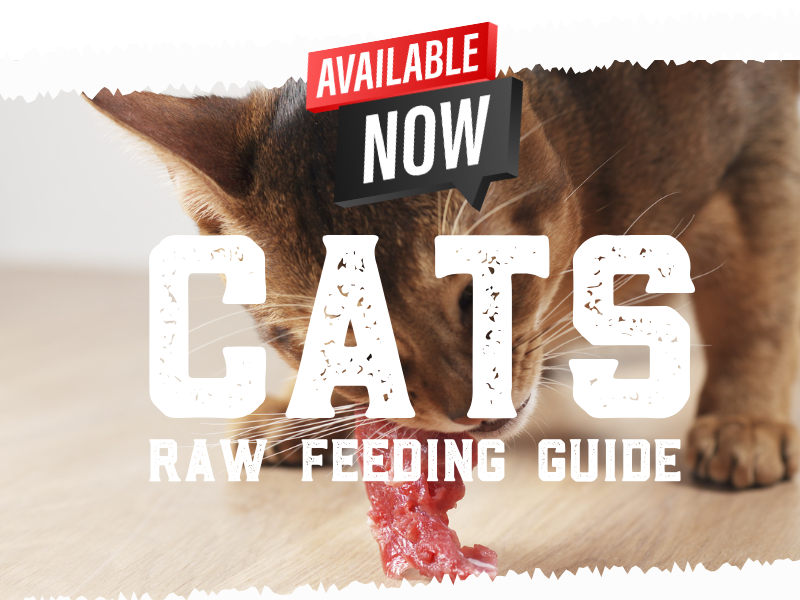 Raw Feeding & Product selector Guide is HERE!