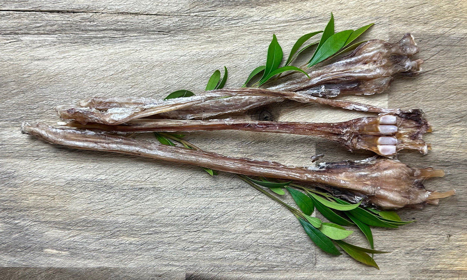 New Natural Treat Product - Deer Tendons