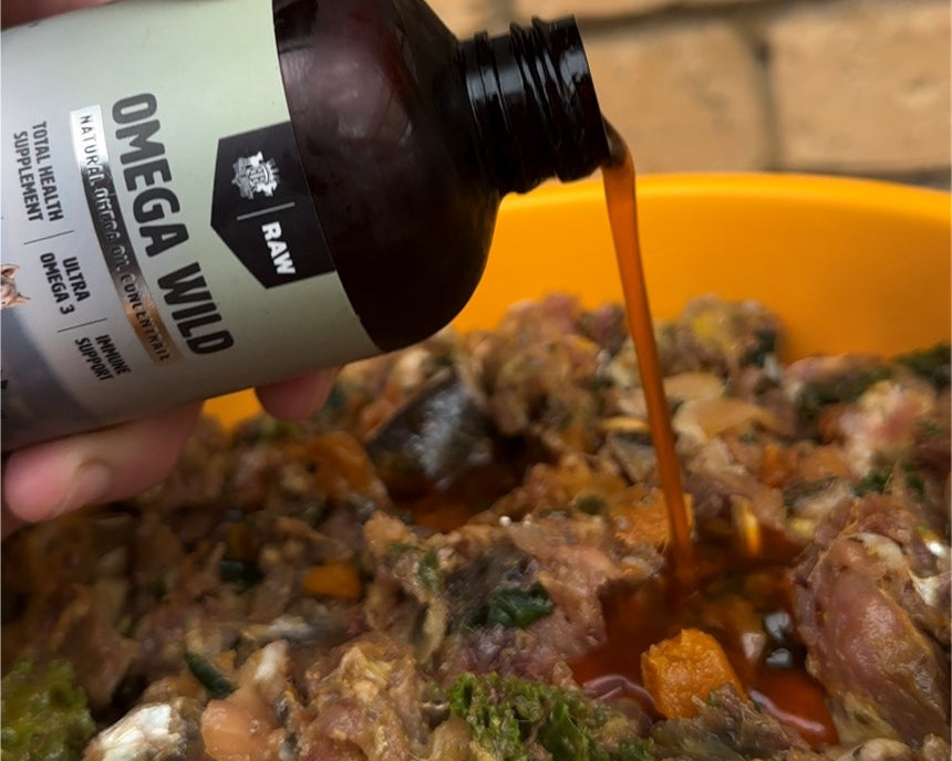 The Power of Mutton Bird Oil: A Natural Solution for Canine Health Issues