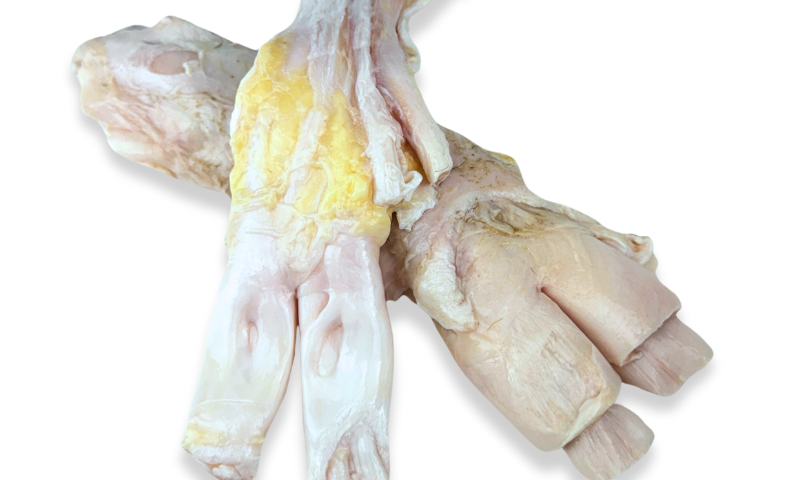 Beef Tendons For Dogs