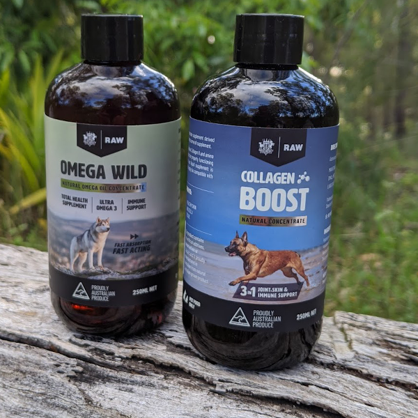 Omega Wild & Collagen Boost