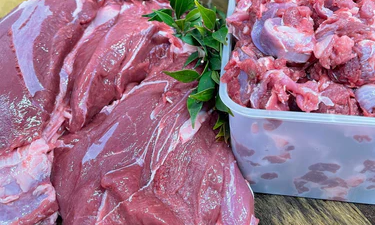 Why your dog needs Venison