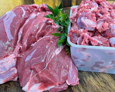 Why your dog needs Venison