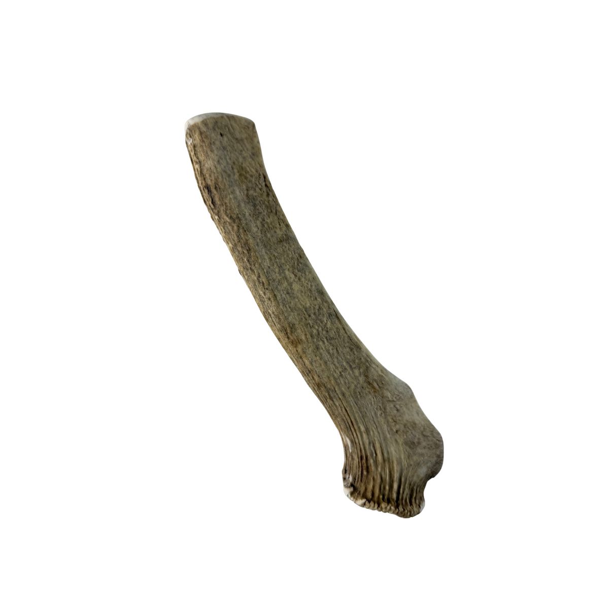 Deer Antlers - Treats for Dogs