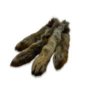 close up view for rabbit feet