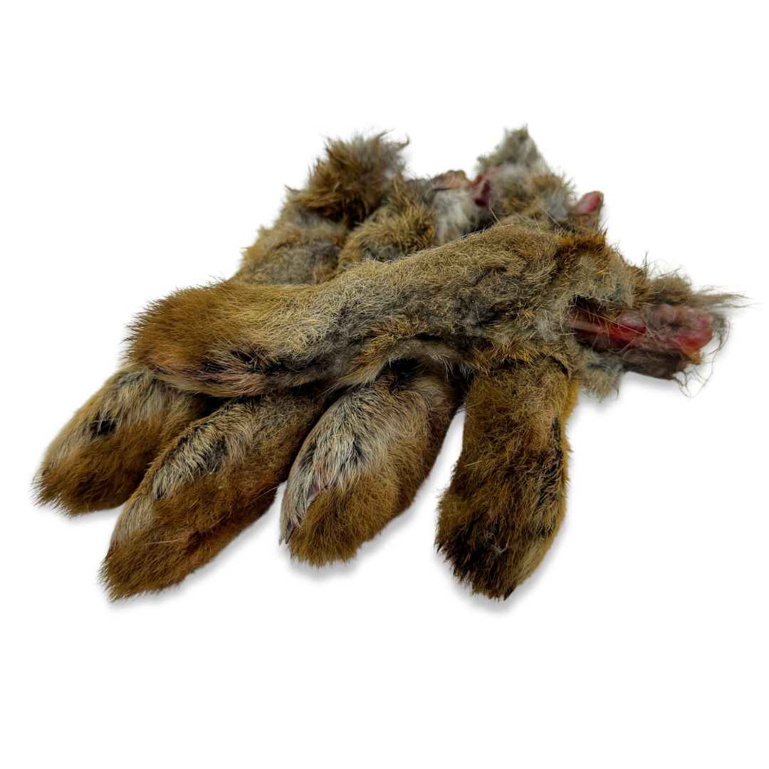 Raw Rabbbit Foot Big Dog Raw Food Australia - Rabbit Feet | RogueRaw