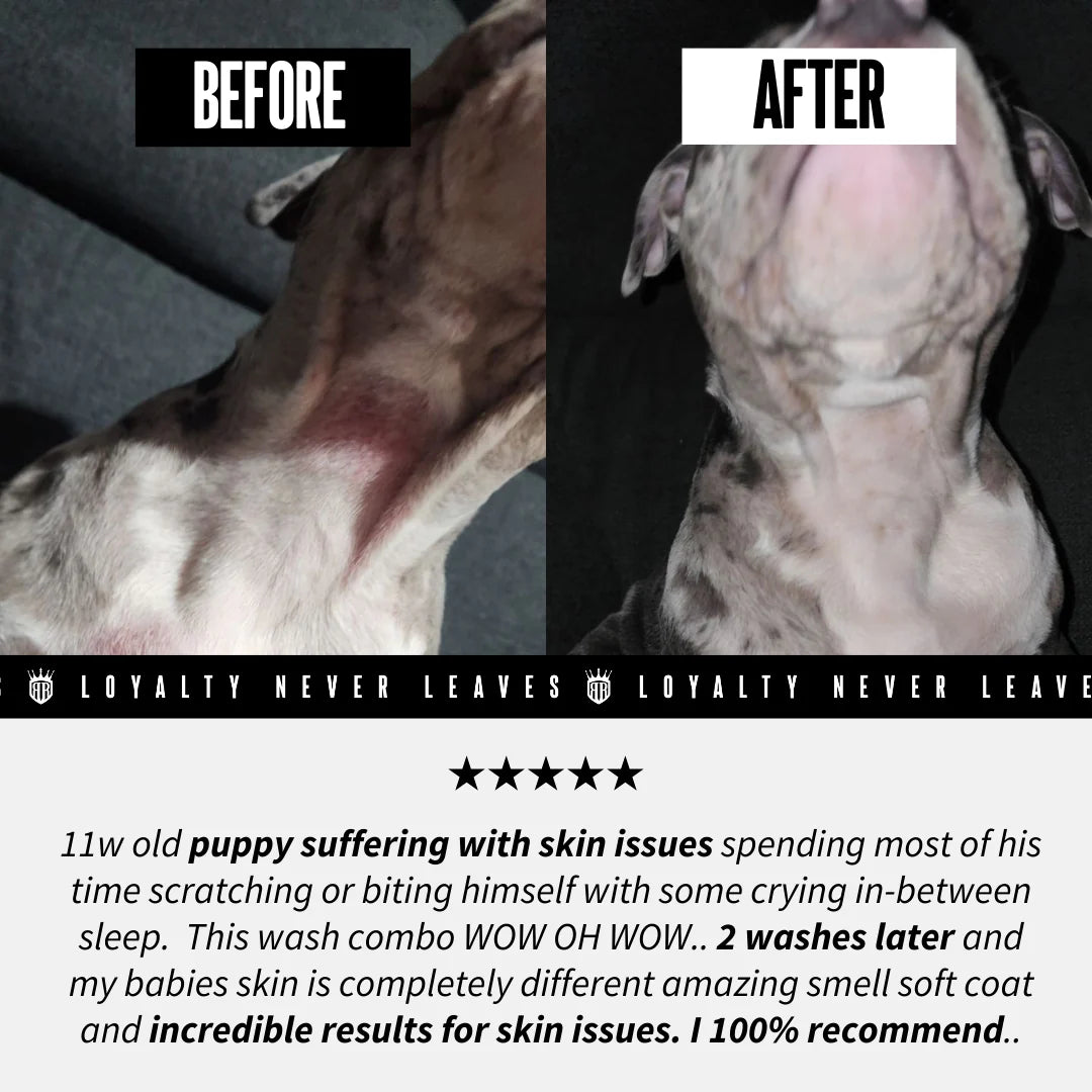 COMPLETE CARE PACK | Canine Allergies &amp; Skin issues