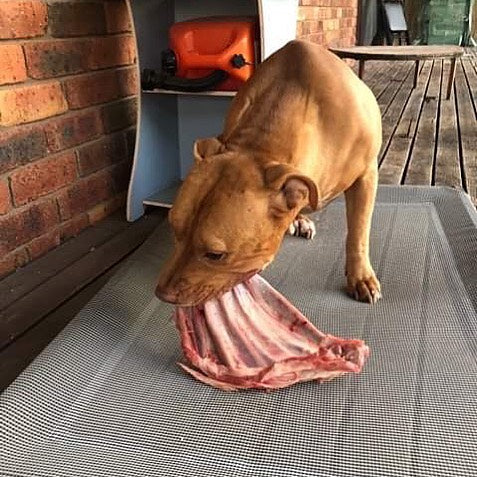 Oral Health &amp; Well-being