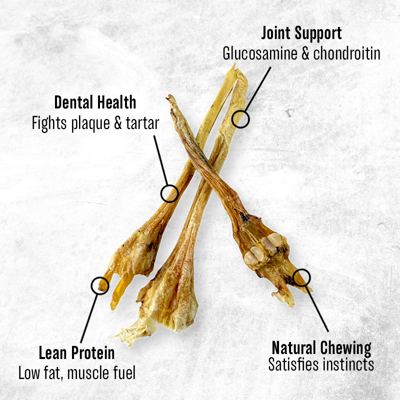 Deer Tendons (50g) - Treats for Dogs