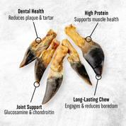 Deer Hooves (100g) - Treats for Dogs