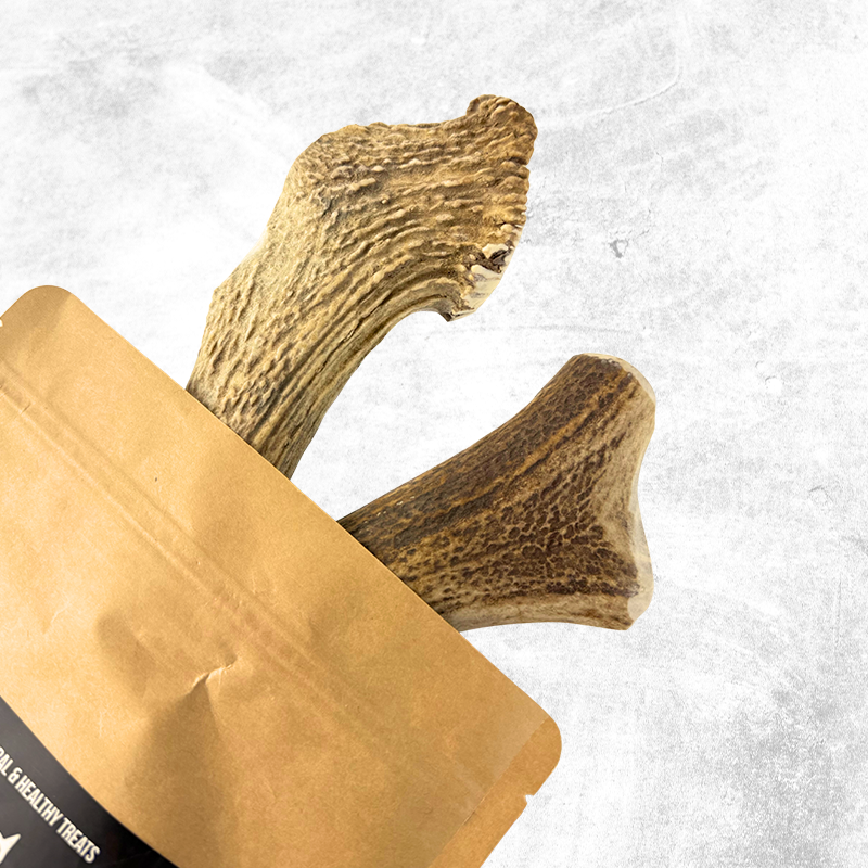 Deer Antlers - Treats for Dogs
