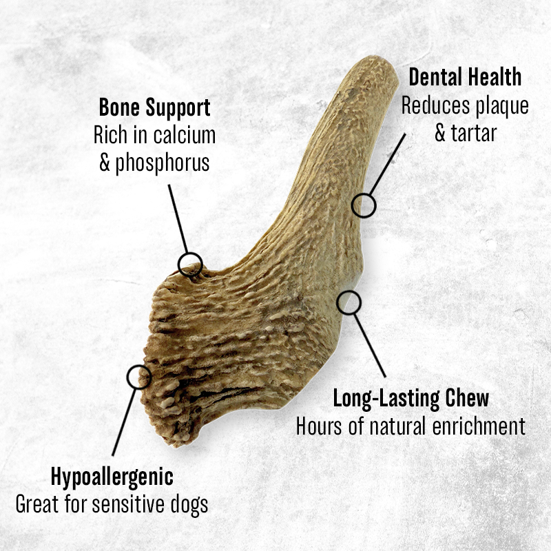 Deer Antlers - Treats for Dogs
