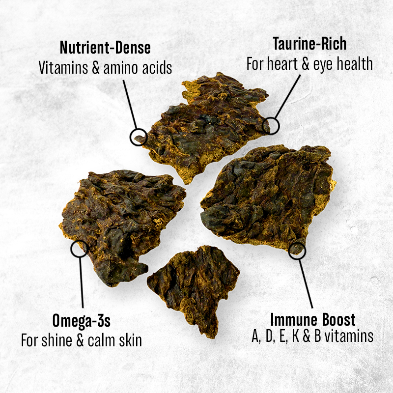 Emu Organ Jerky