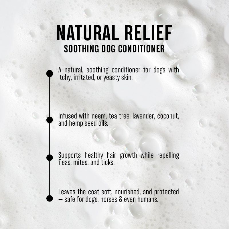 Flea & Yeast Conditioner | "Shine & Shield"