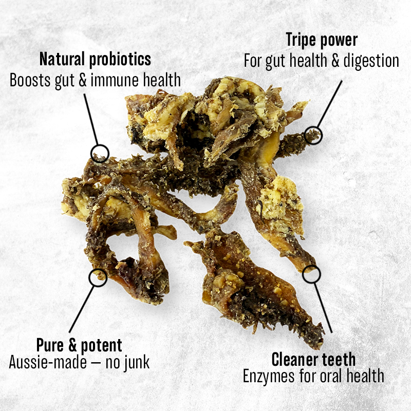 Green Tripe Jerky