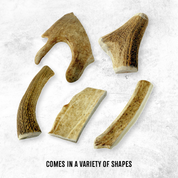 Deer Antlers - Treats for Dogs