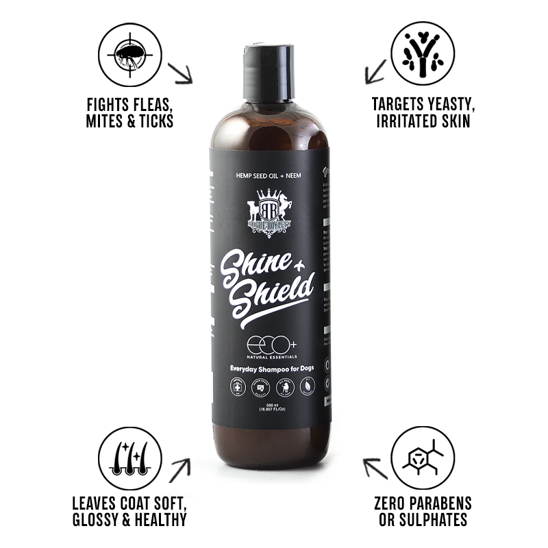 Shine & Shield Shampoo for Deep Cleanse