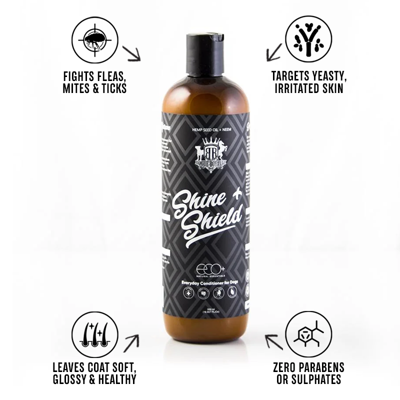 Flea & Yeast Conditioner | "Shine & Shield"