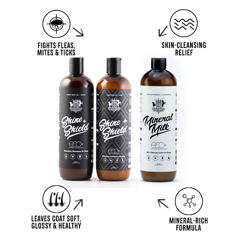 YEAST ATTACK PACK | Problem/Yeasty Skin