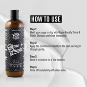 Flea & Yeast Conditioner | "Shine & Shield"