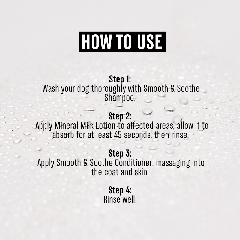 COMPLETE CARE PACK | Canine Allergies & Skin issues