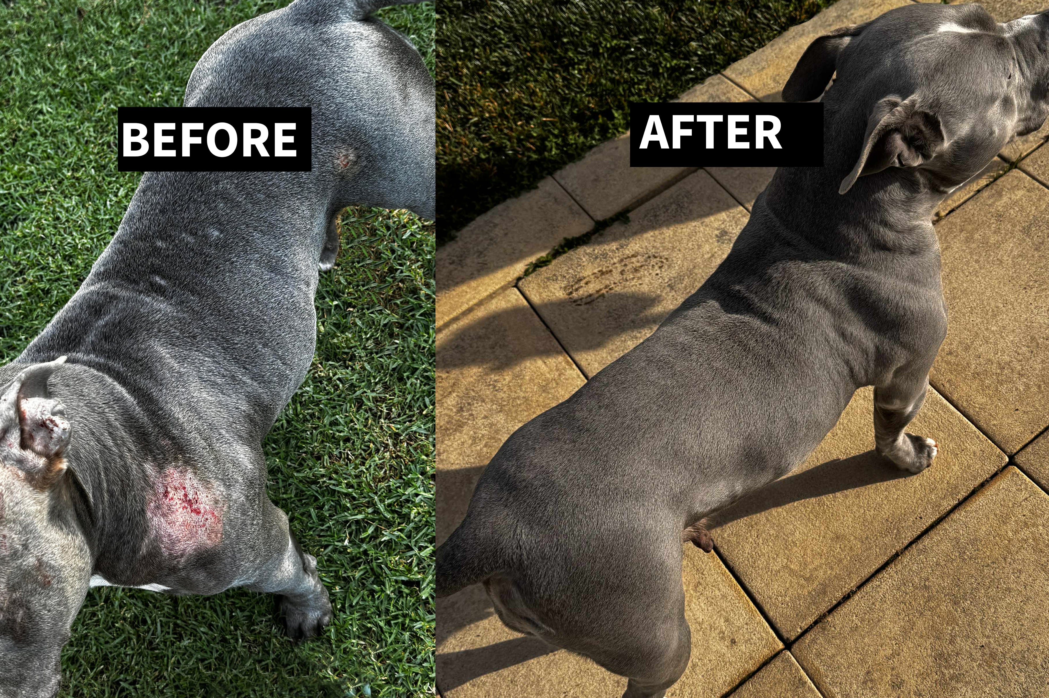 BEFORE-AFTER-PIC.jpg