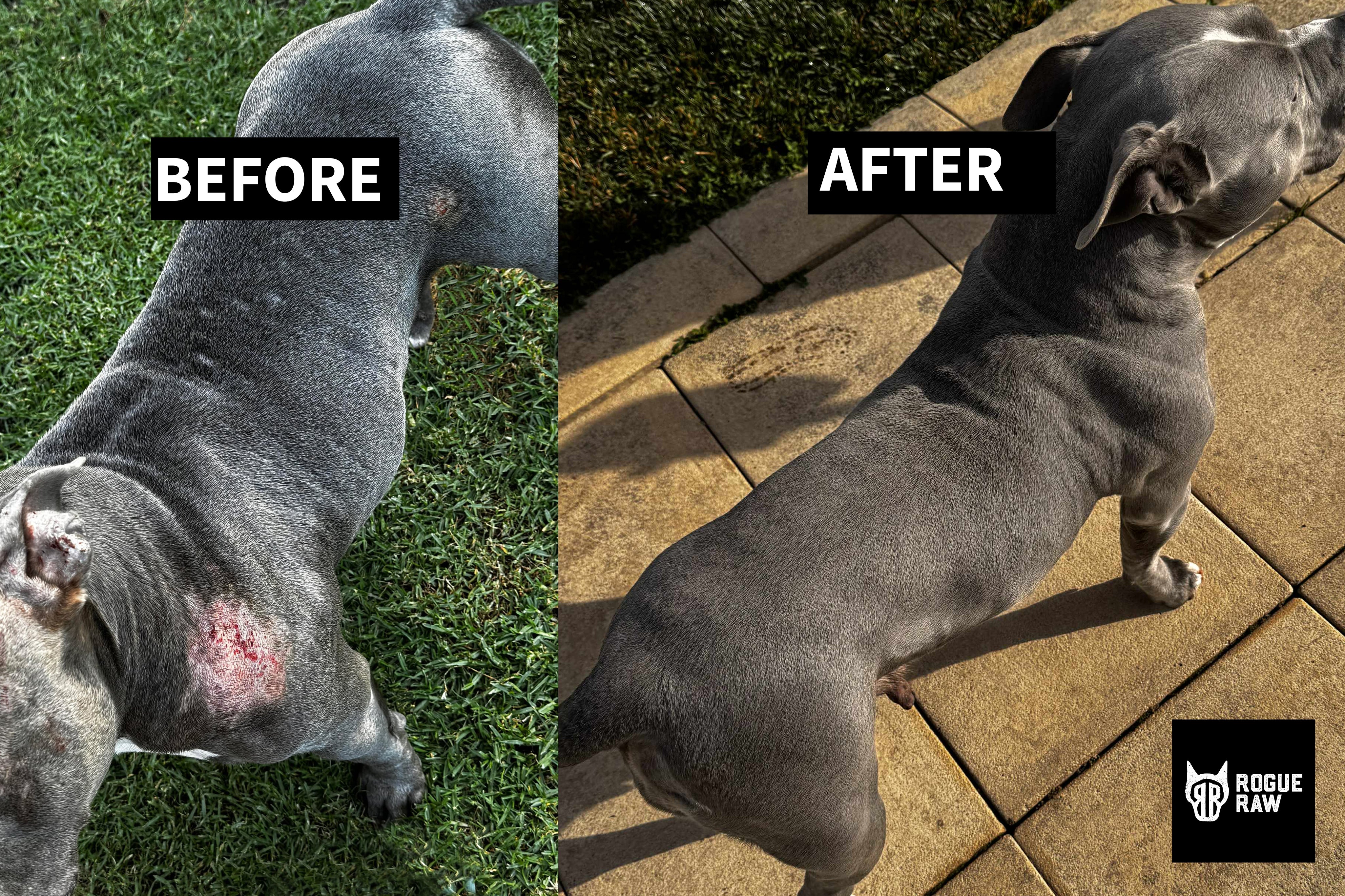 BEFORE-AFTER-PIC_copy.jpg