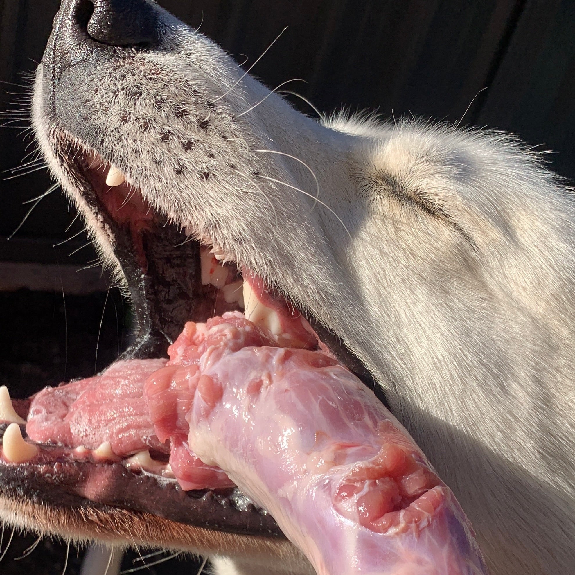 MEAT IS NOT ENOUGH!