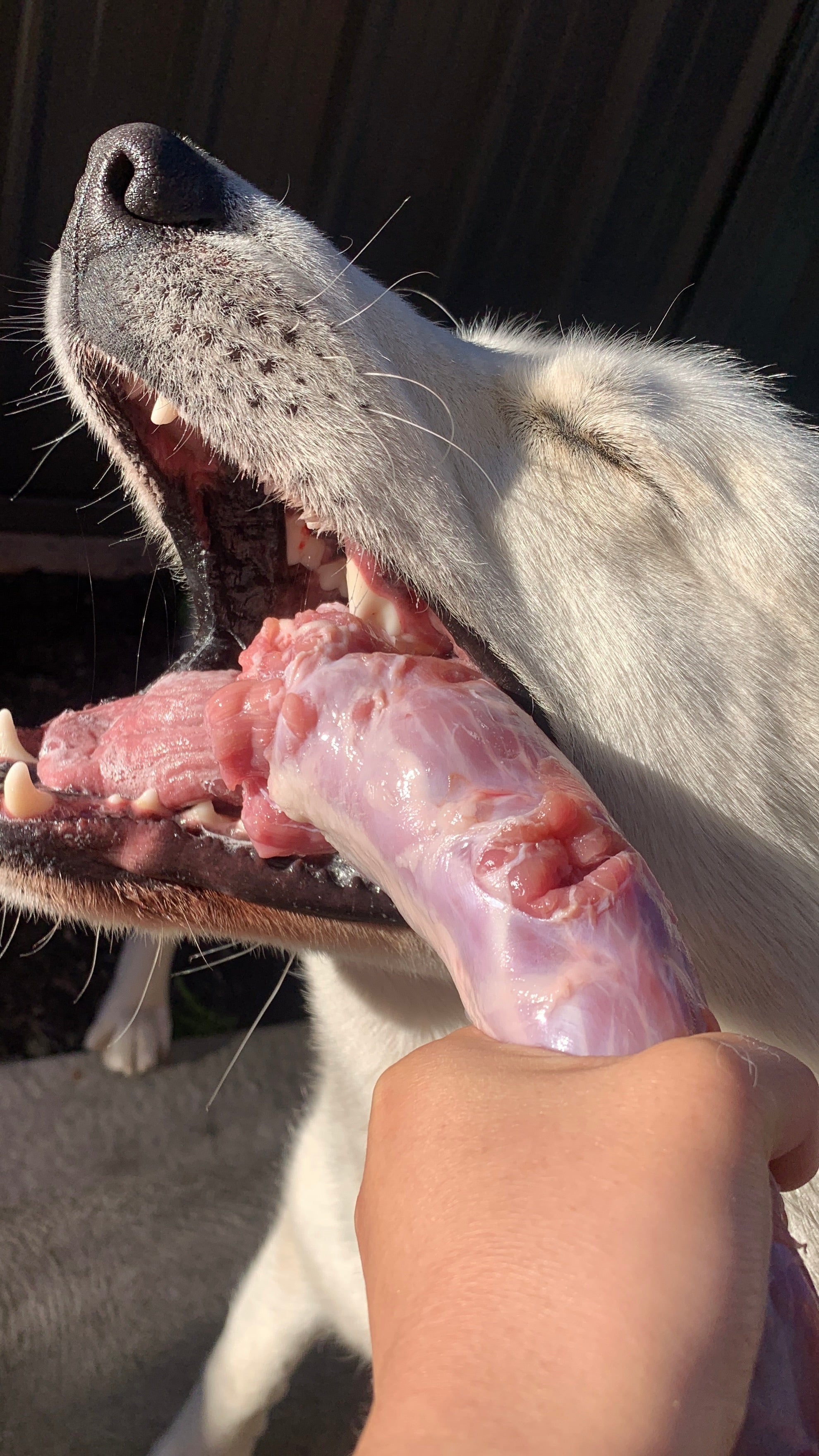 MEAT IS NOT ENOUGH!