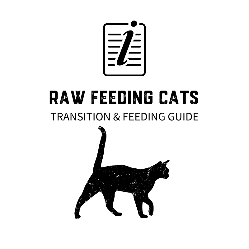 Raw Feeding For Cats