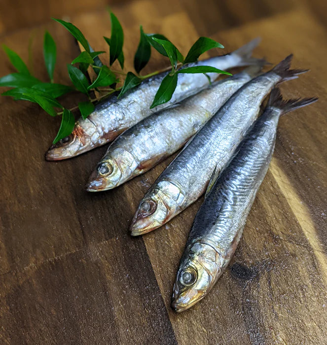 Whole raw sardines for raw feeding dogs and cats.