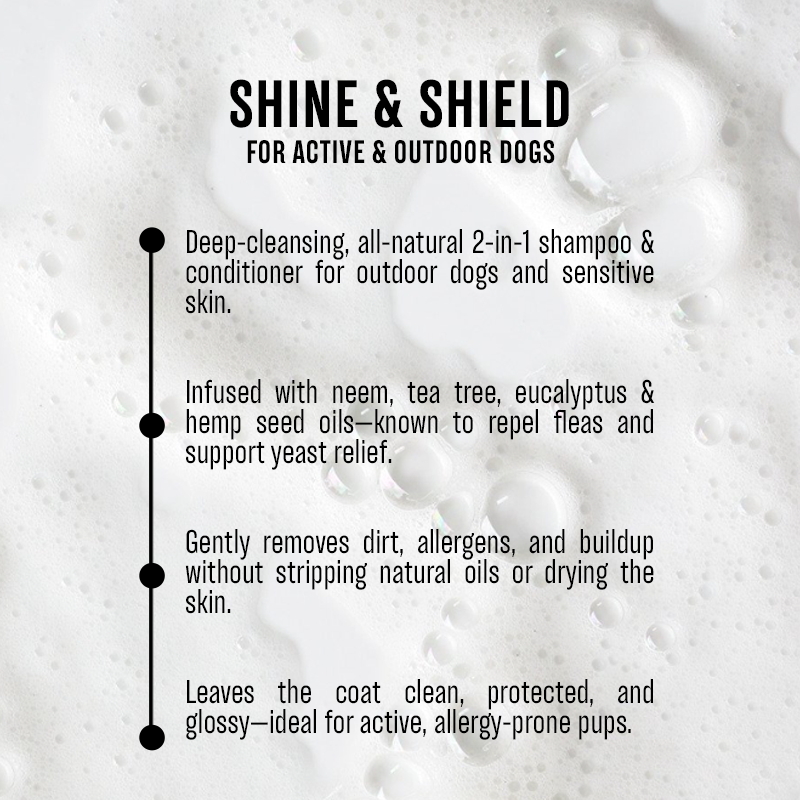 Natural Flea Control & Wash | "Shine & Shield" Combo