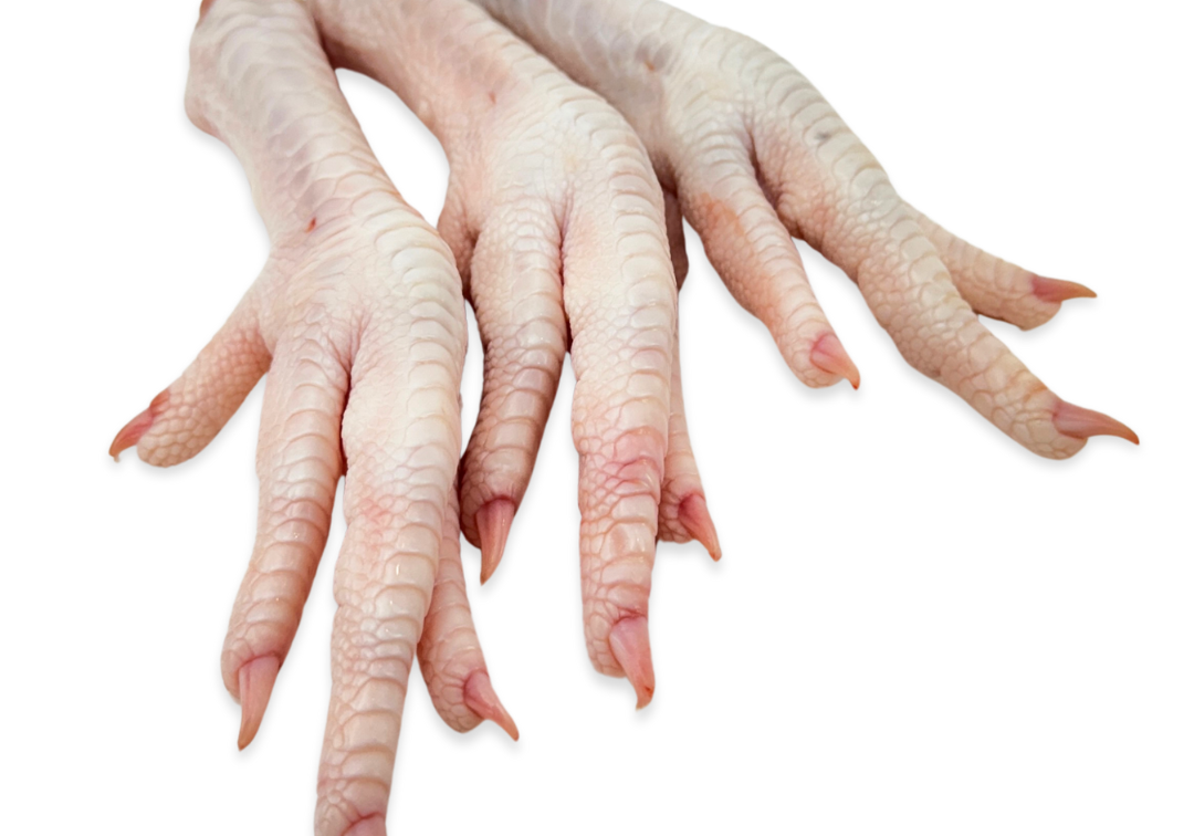 Untitled_design_10_b27c814f-75c6-436d-8d1b-123c7c493714.png