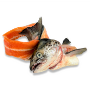 Salmon Head + Frames (2 per pack)