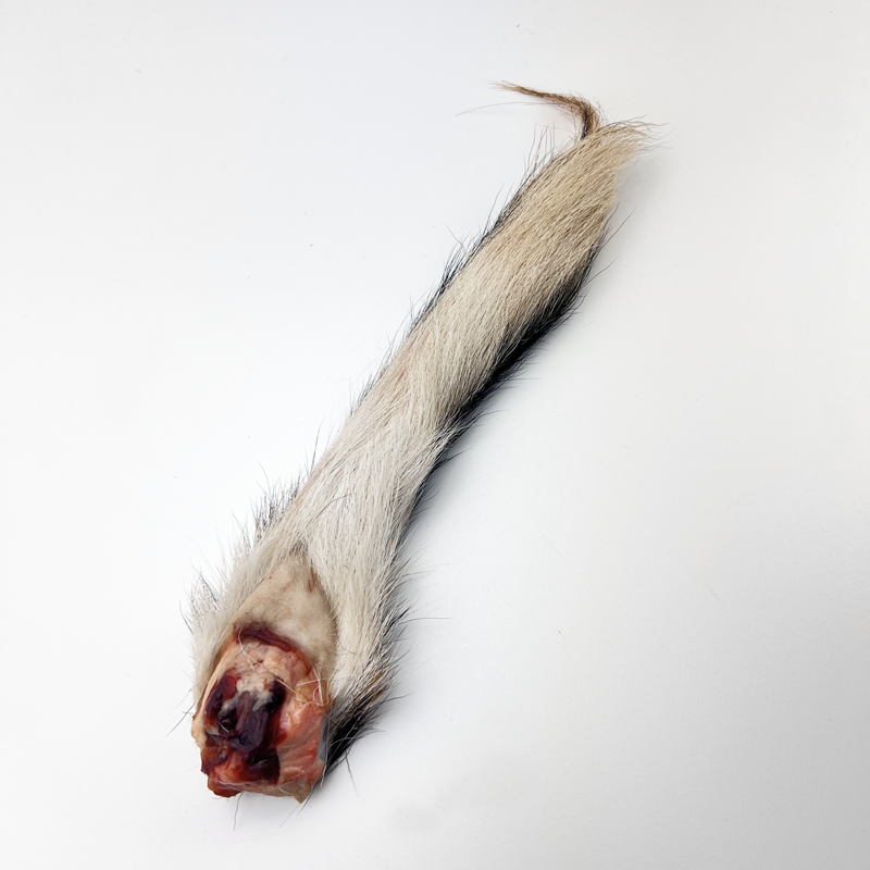 iraw unprocessed wild deer tails for dogs and puppies.