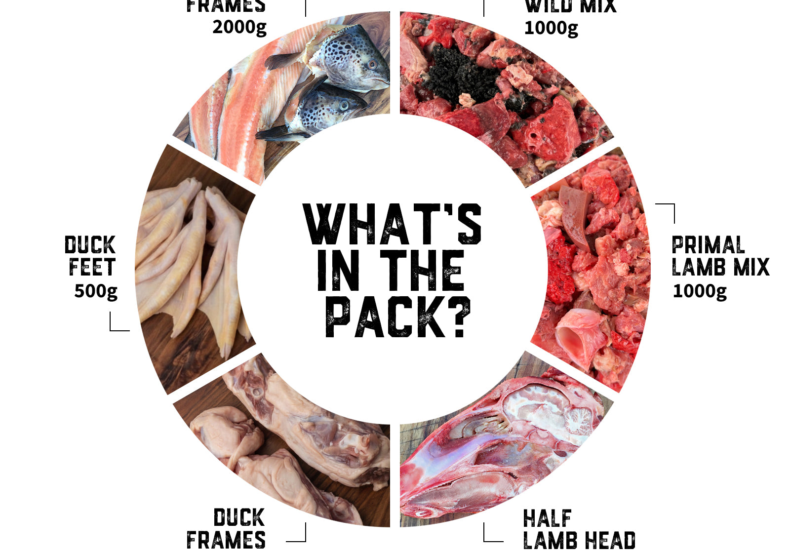 active-dogs-raw-food-pack-01-slide-2.jpg