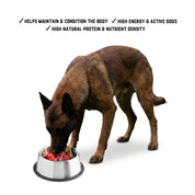 Raw Feeding for Active Dogs - Meal Pack #01